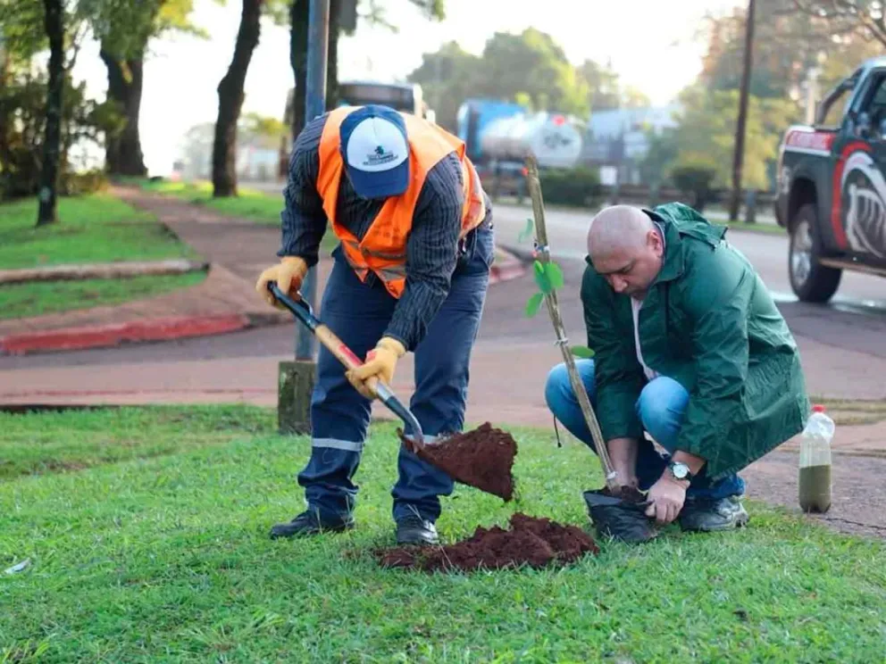  Supera los 7.000 ejemplares plantados