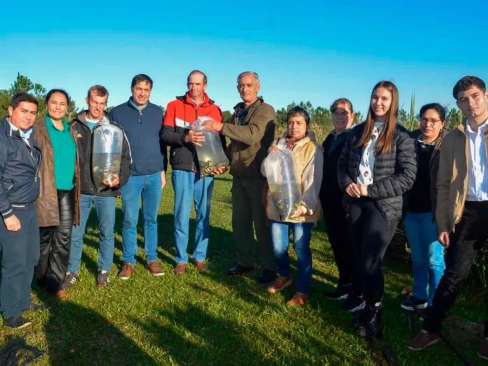 Aporte de alevines y juveniles de pacú y sábalo  