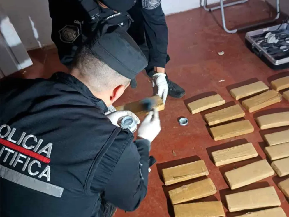 La marihuana decomisada