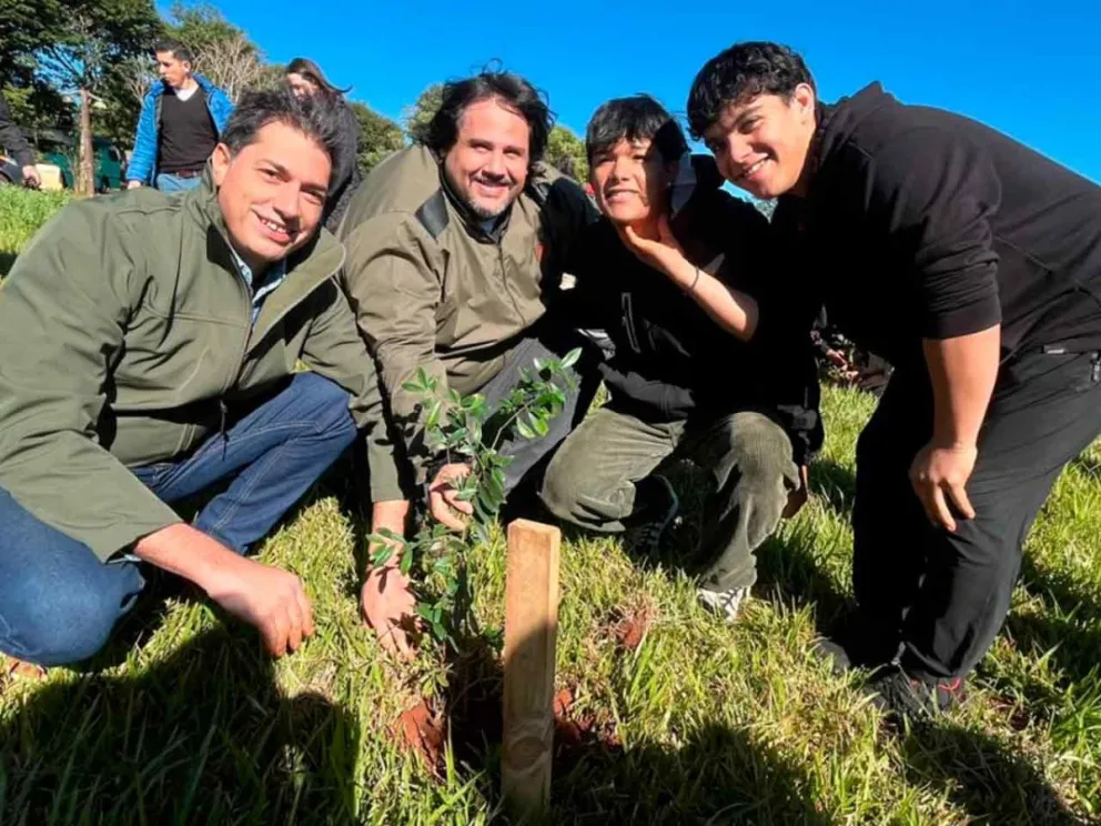  Hacia la primera certificación de créditos de carbono 