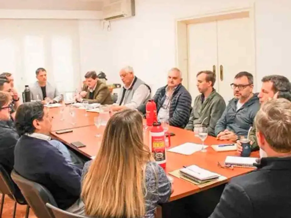 Safrán, Fachinelo y representantes forestales 