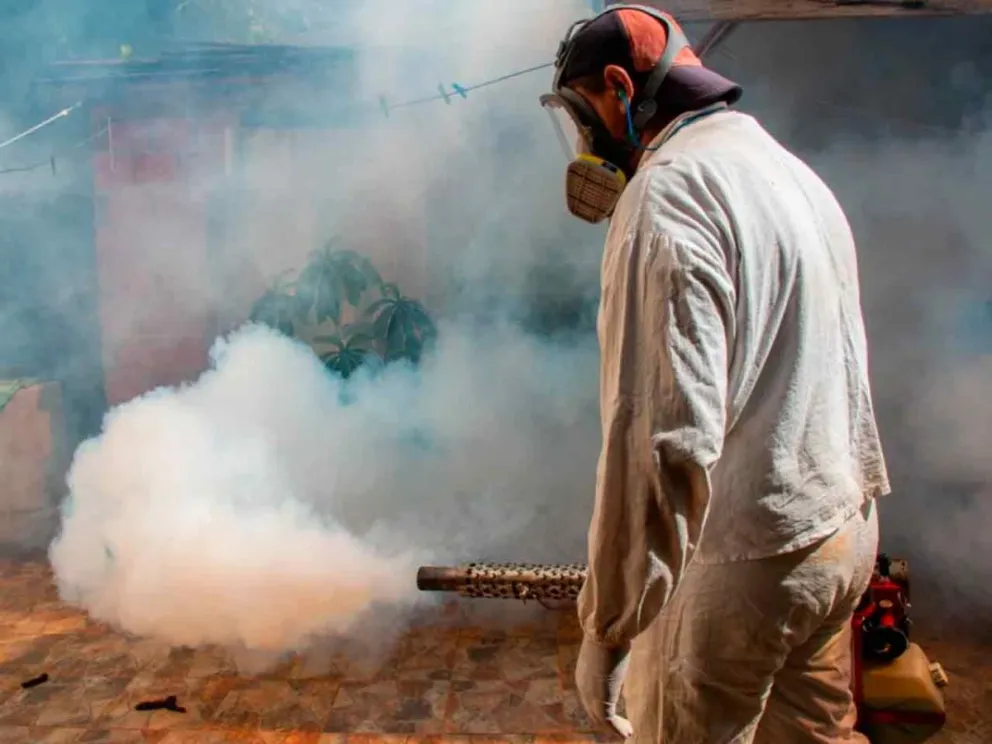 Apuntan a eliminar criaderos de Aedes aegyti