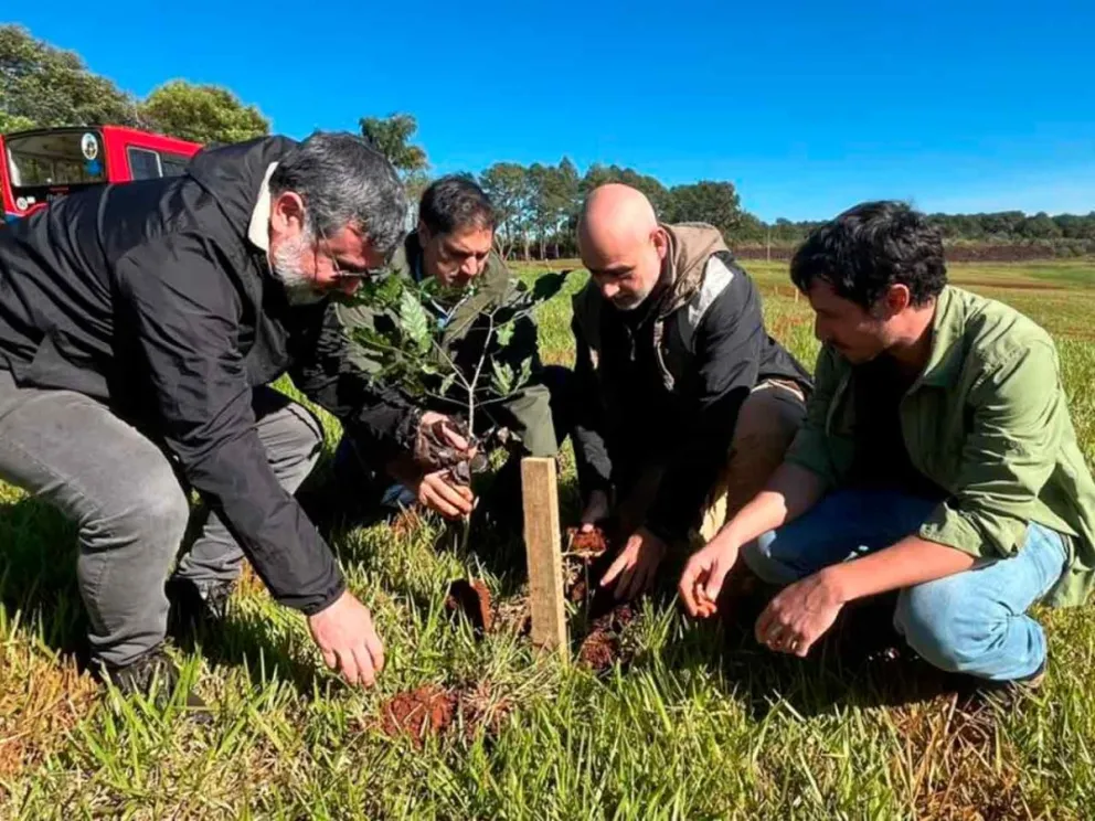 Promueve la reforestación