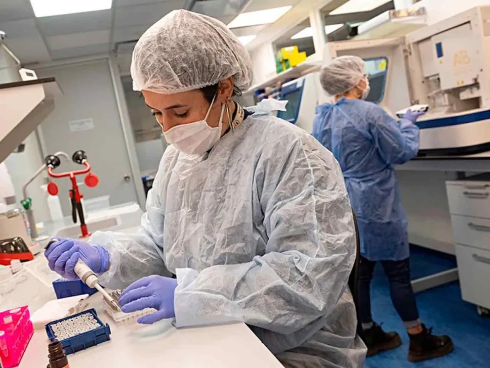 Tras las modificaciones del Decreto 351/2025