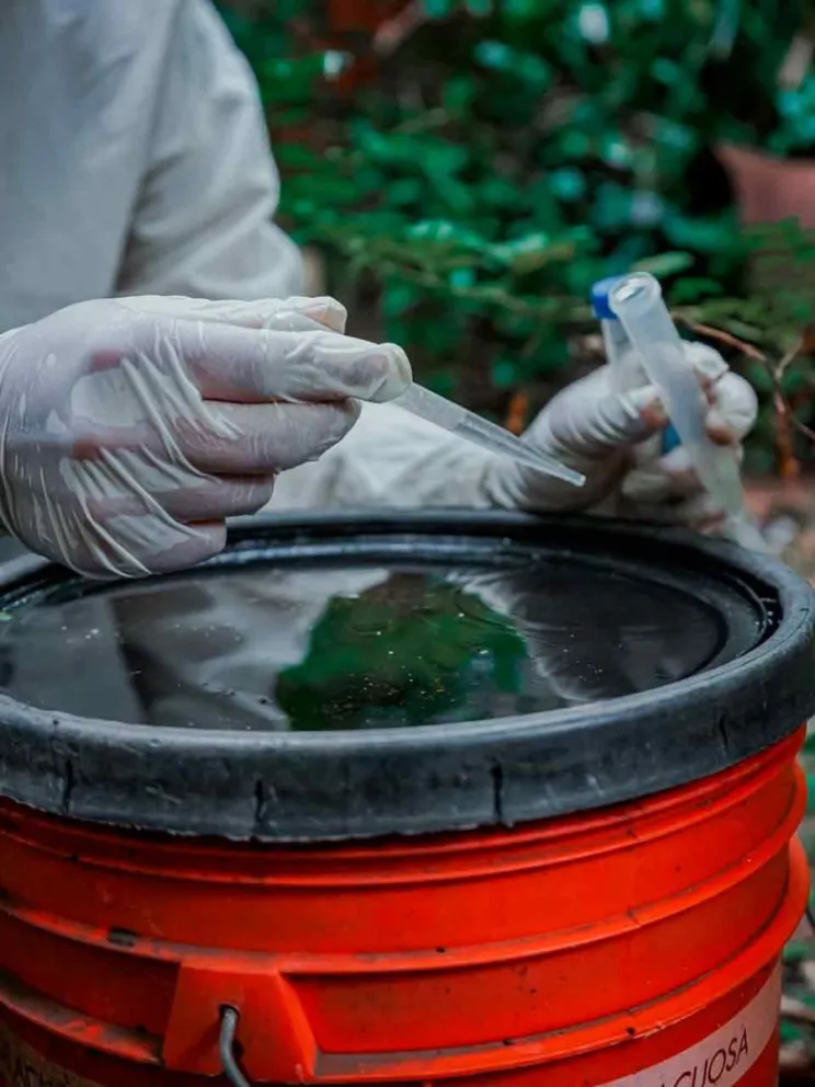 Apuntando a la prevención