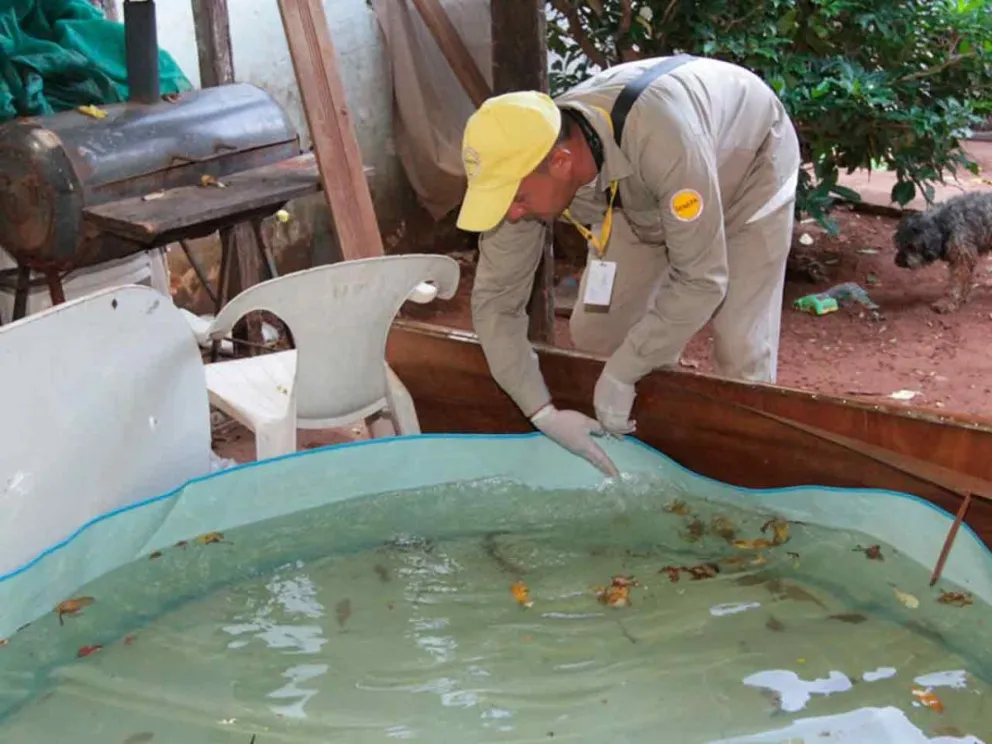 Reporte de Vigilancia de la Salud  