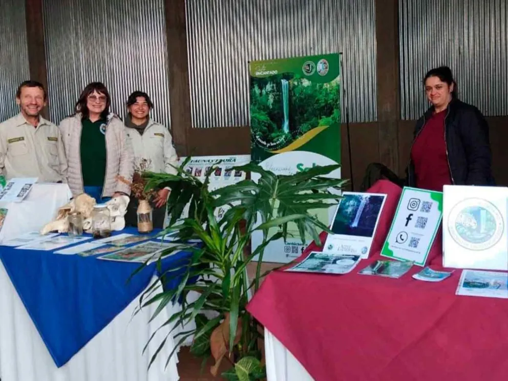 Propuesta interactiva sobre el medio-ambiente