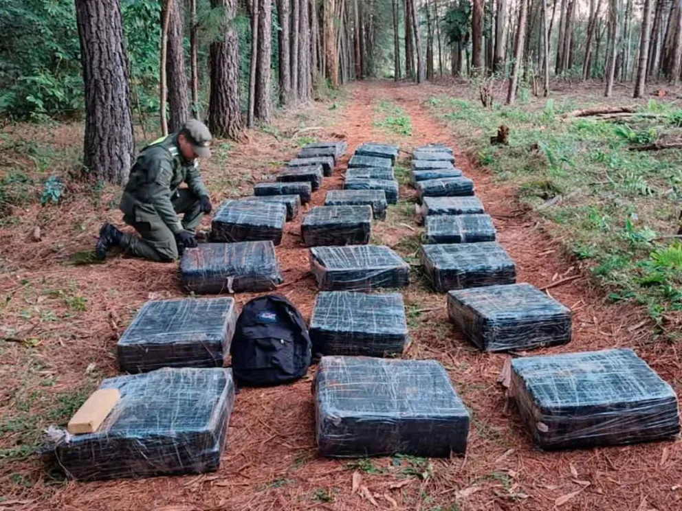 Parte de la droga decomisada