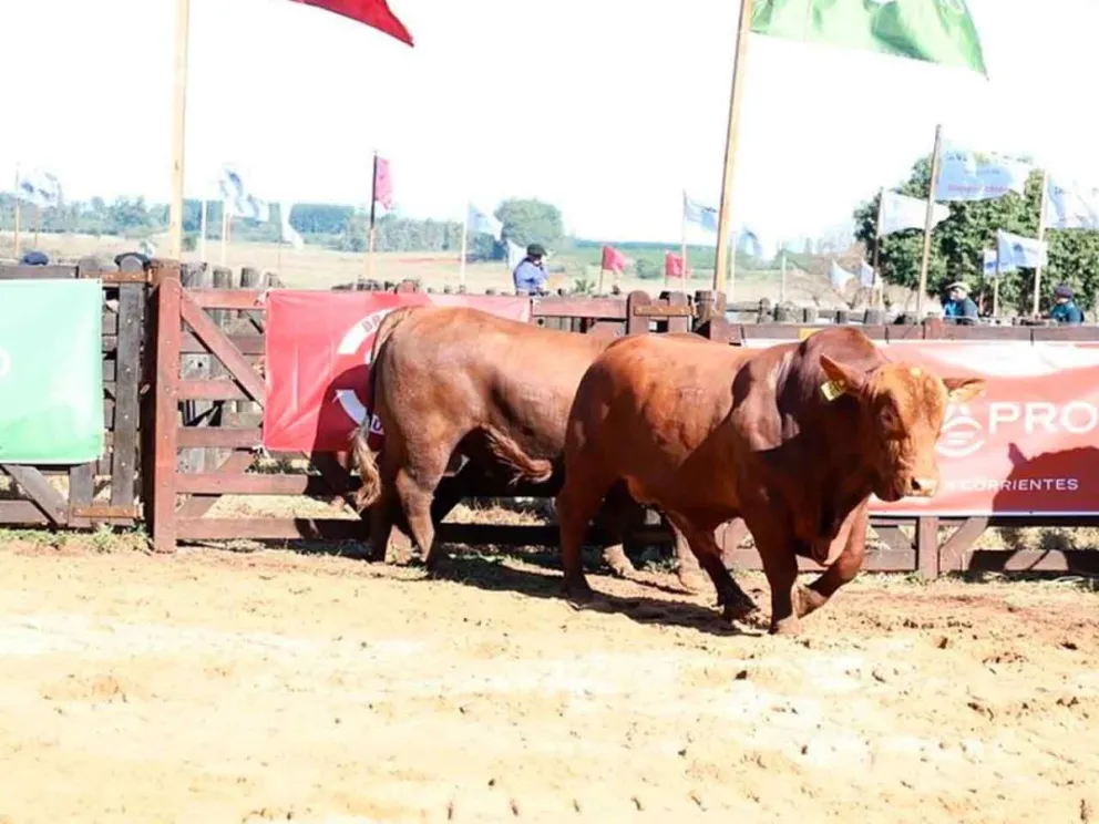  Con respaldo municipal