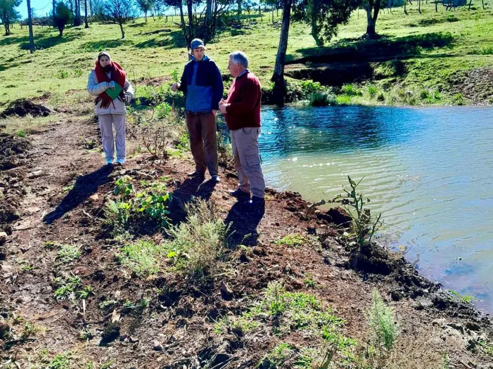 Brindan asistencia técnica