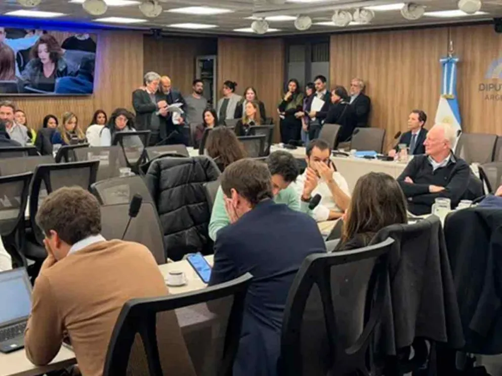 El pedido formal fue presentado el jueves