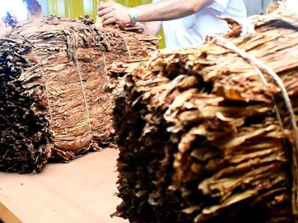 Correspondiente al tramo 5