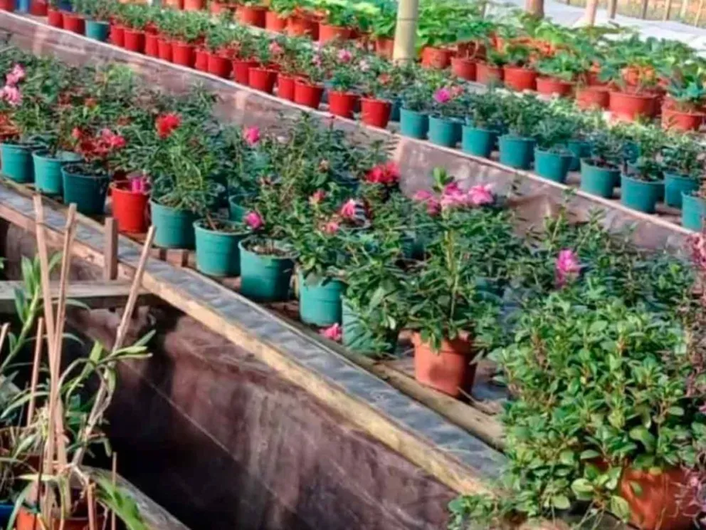 Importante iniciativa