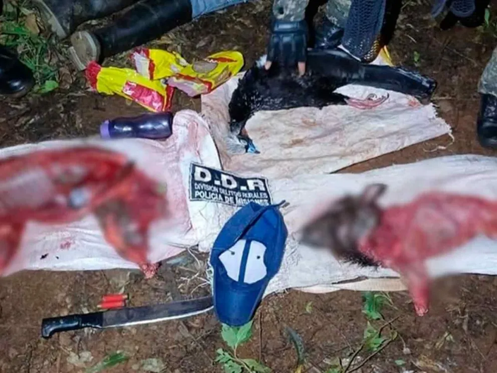 Incautaron armas y carne faenada