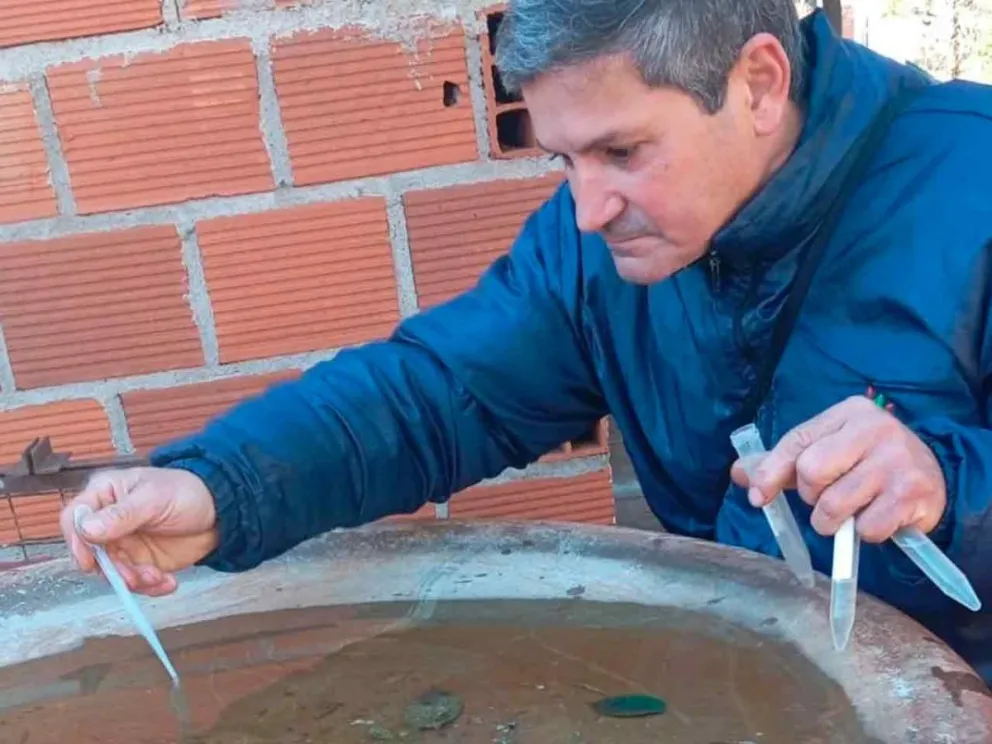 Para combatir el Aedes aegypti