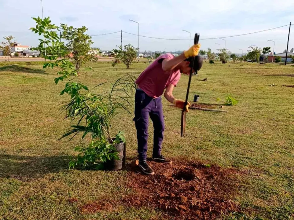Plan estratégico de corredores verdes urbanos