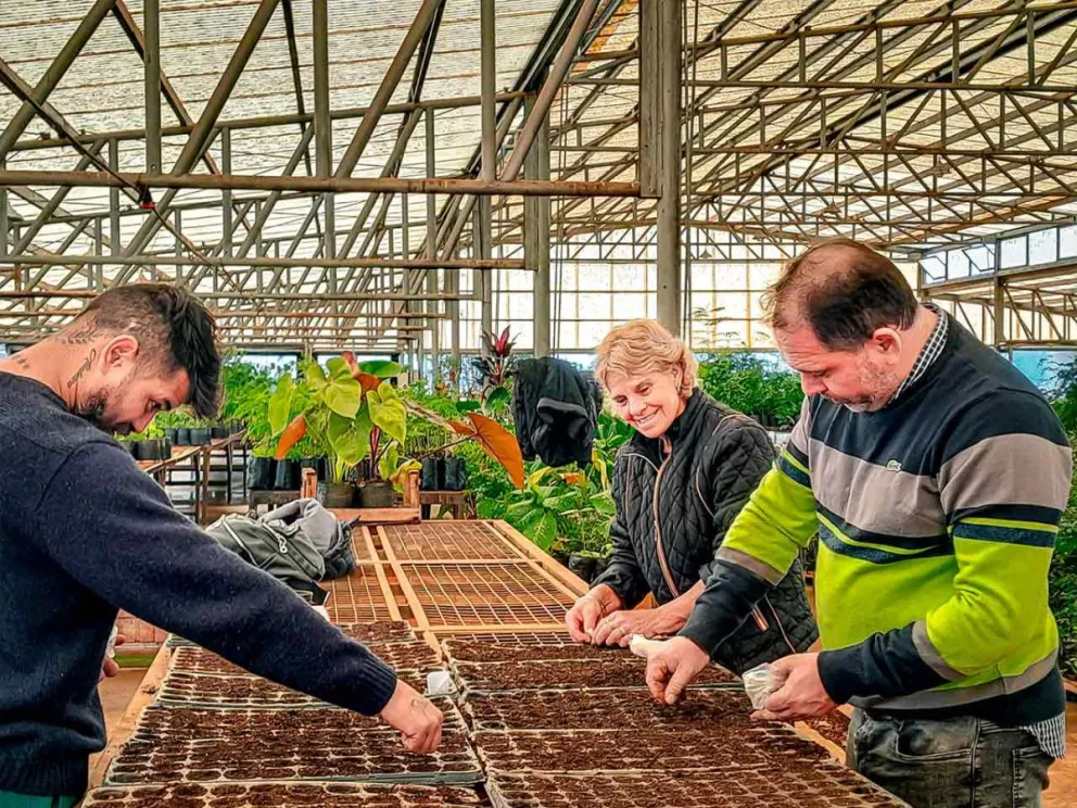 Importante iniciativa