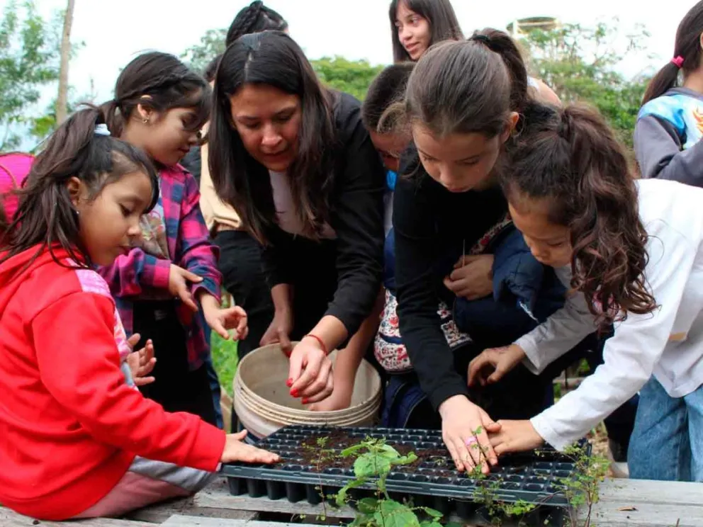 Taller de huerta recreativa