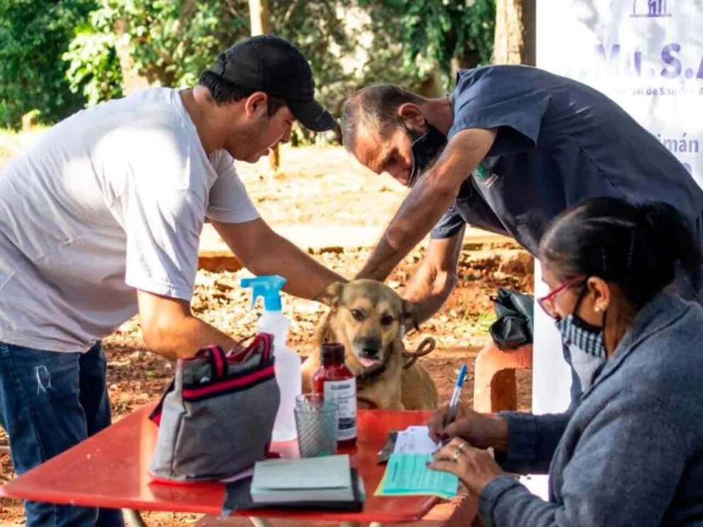 Hoy, de 16:00 a 19:00
