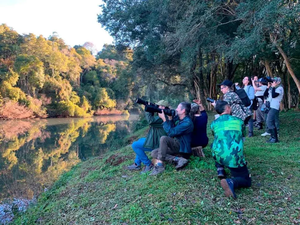 Avistaje visual y auditivo de especies