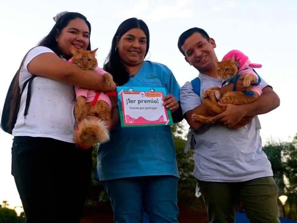 Organizado por el IMuSA