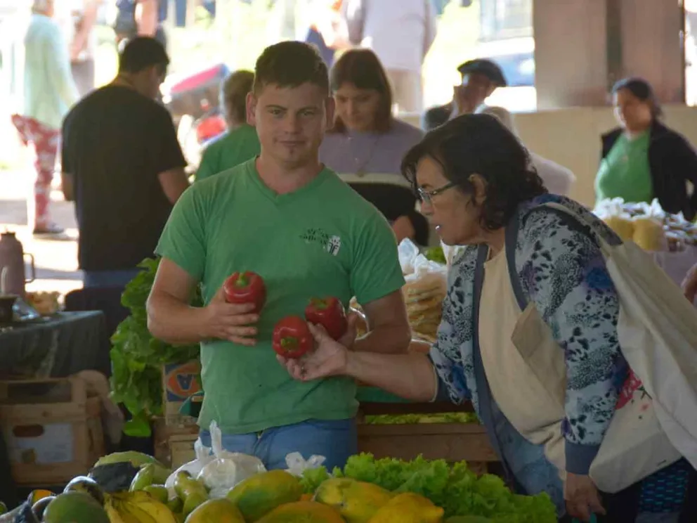 Brinda asesoramiento