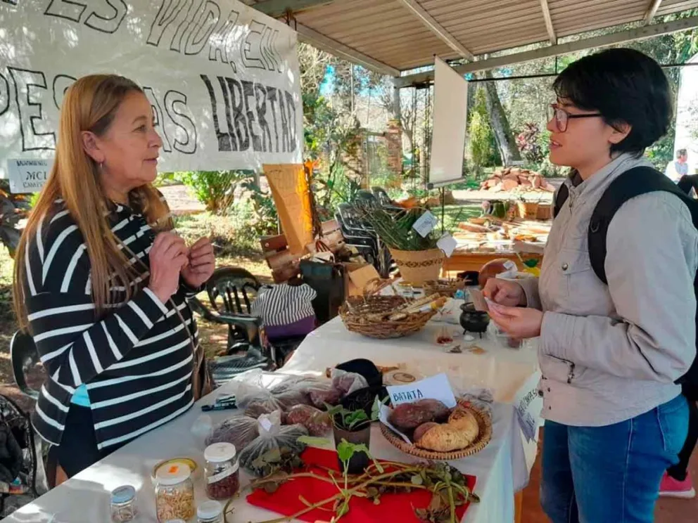 Del 26 de julio al 1º de agosto