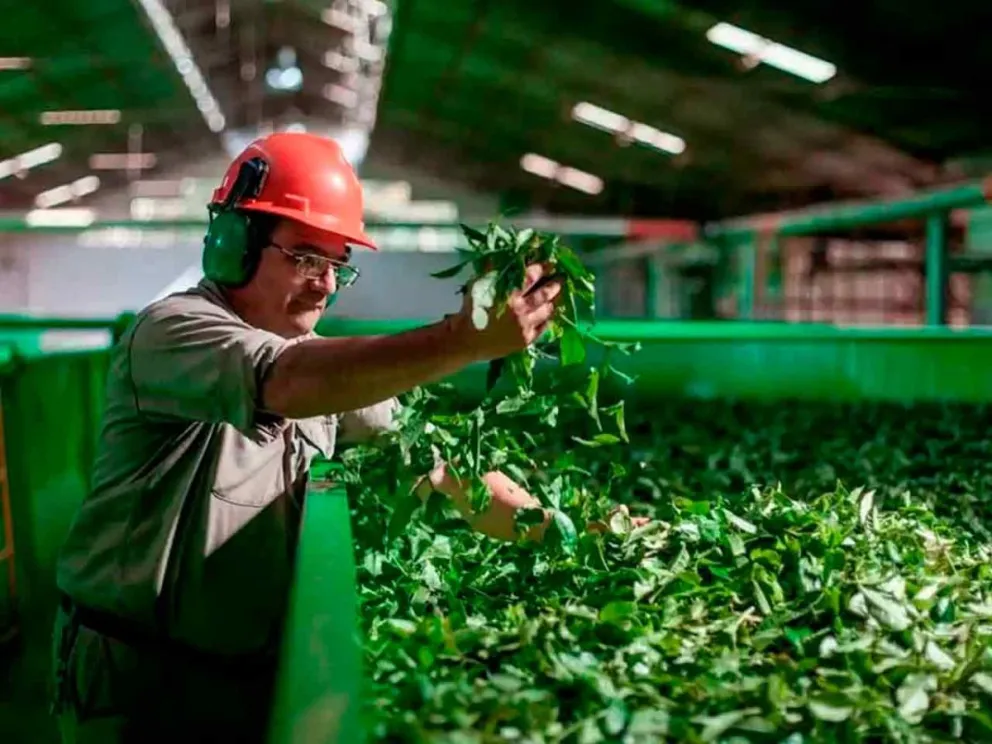 90 establecimientos molineros activos