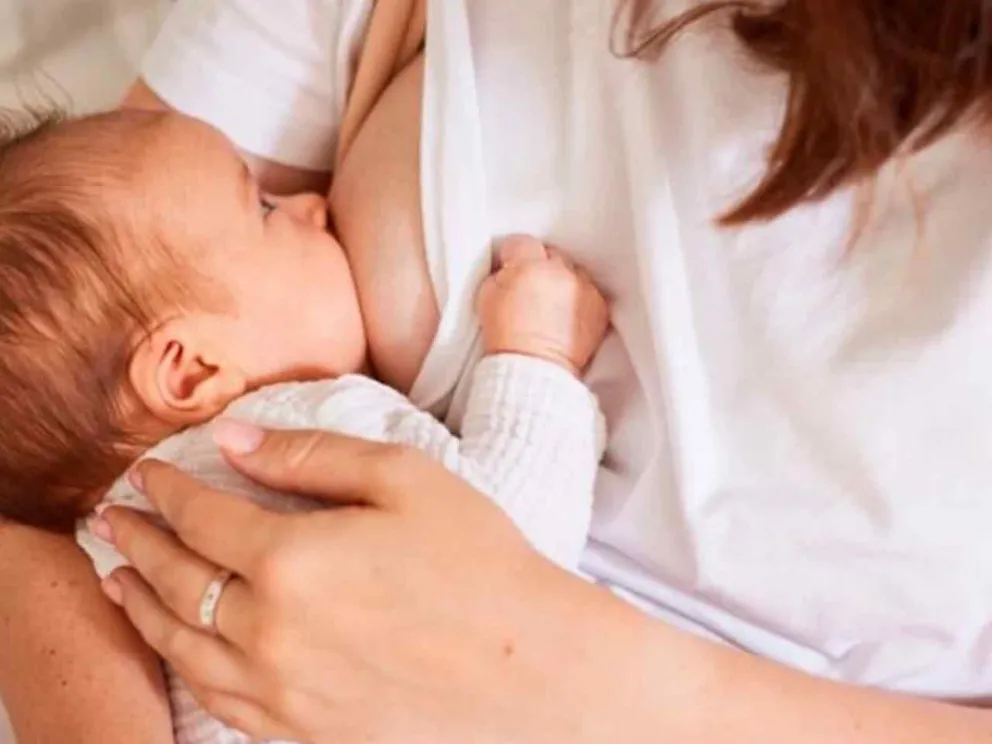 Del 1 al 7 de agosto