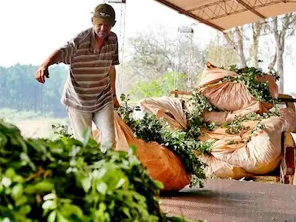 Se agudiza la crisis por la desregulación