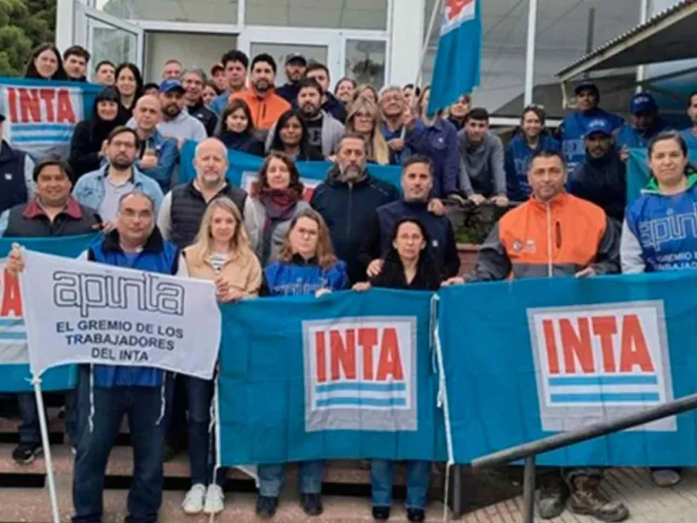 Piden dejar nulos artículos del DNU 462/2025