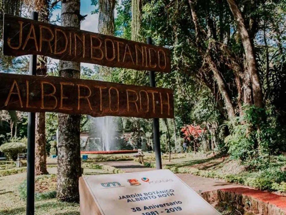 Aprendizaje  en la naturaleza