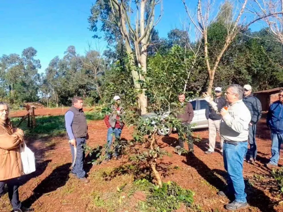 Curso en modalidad teórico-práctico