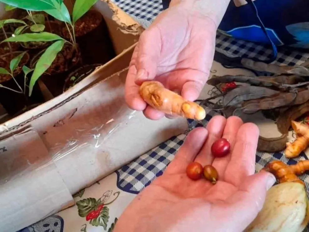 Será el 7 de agosto