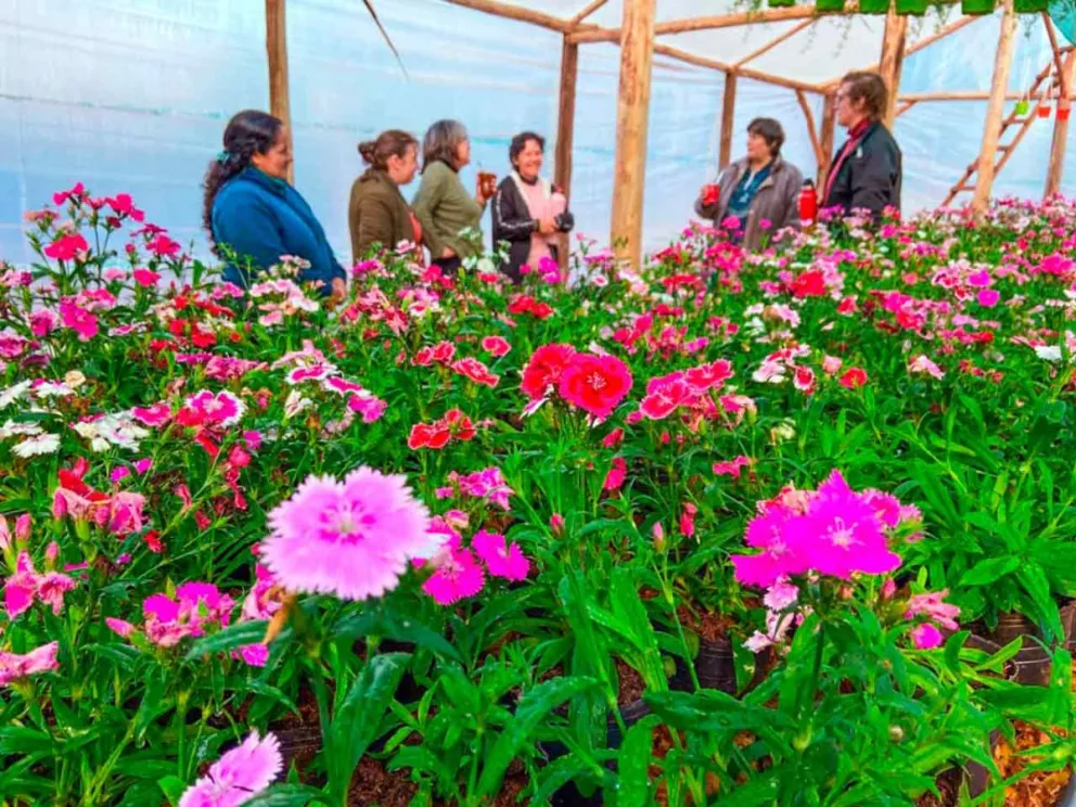 HIto de diversificación productiva