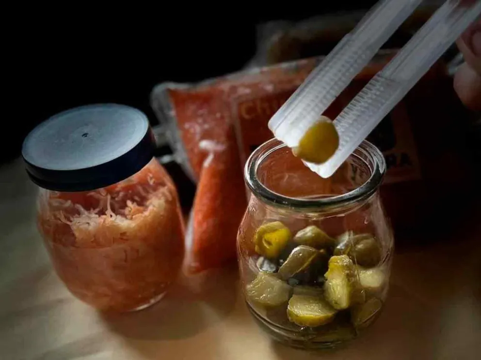  Se llevará a cabo el 14 de agosto