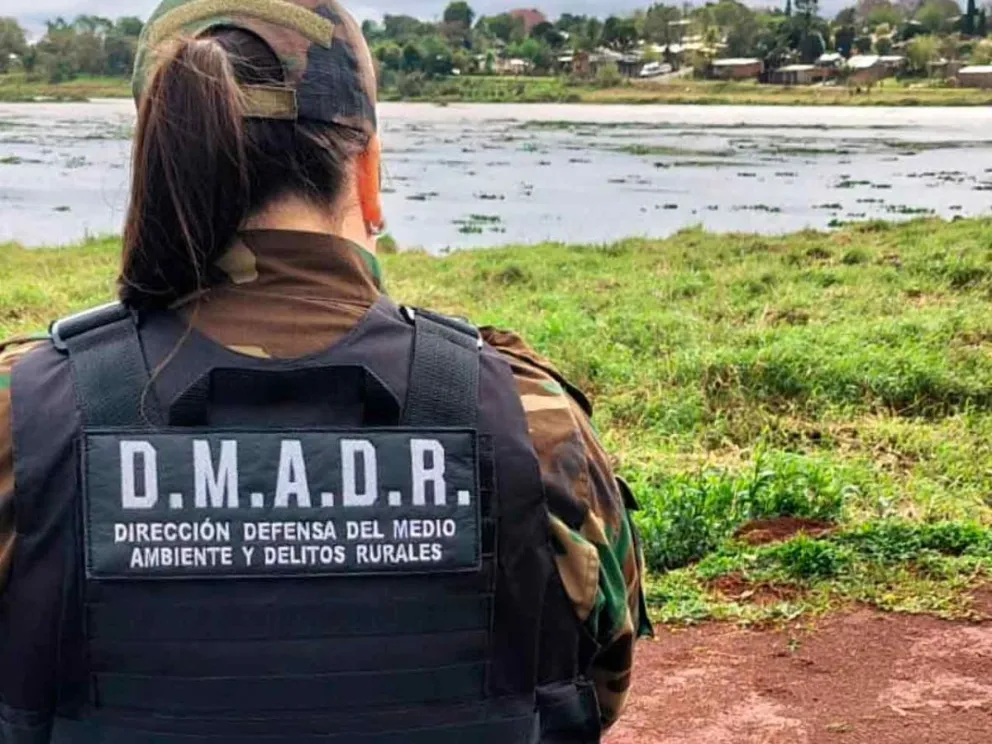 Ante el hallazgo de restos de tres carpinchos