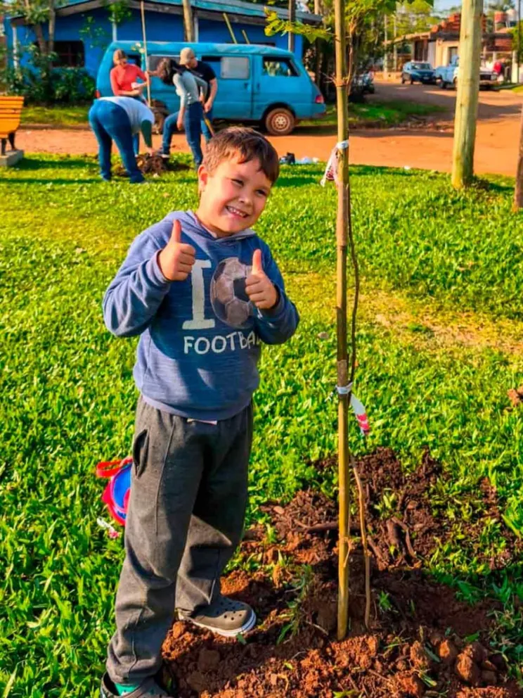 Programa “Barrios Más Verdes”