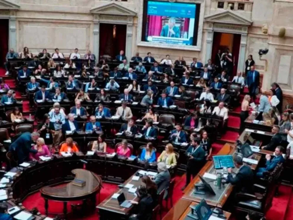La Cámara Baja busca tratar estos casos 