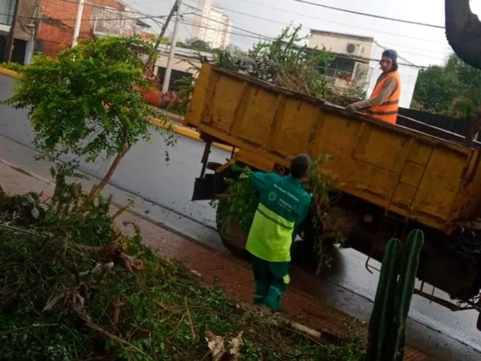 Cuadrilla de recolección de ramas