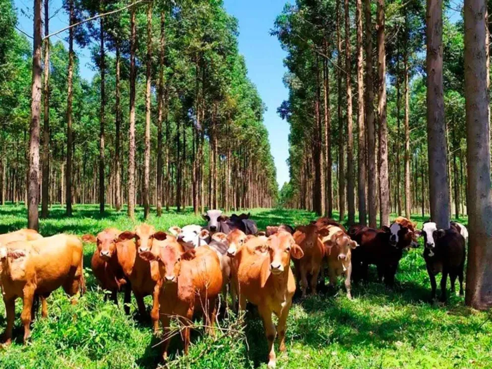El jueves, de 8:00 a 12:00