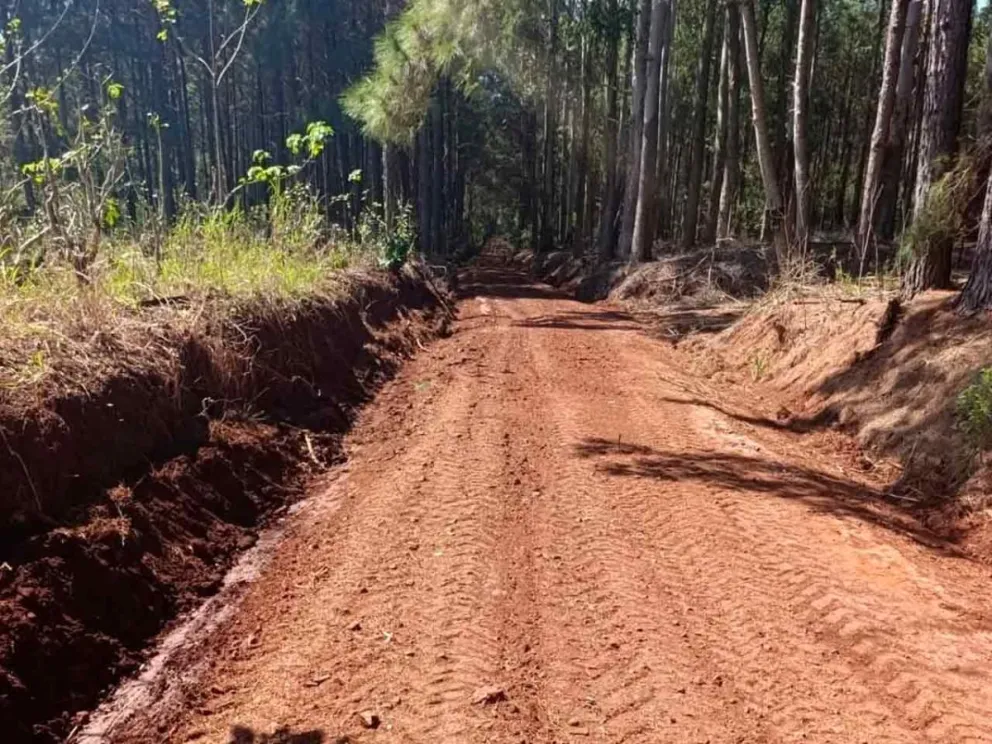 Mejorará la transitabilidad