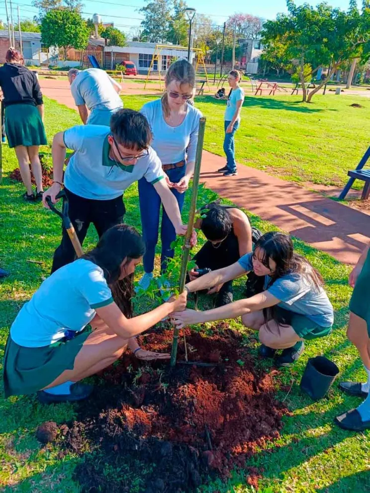 Colocaron alrededor de 50 plantines
