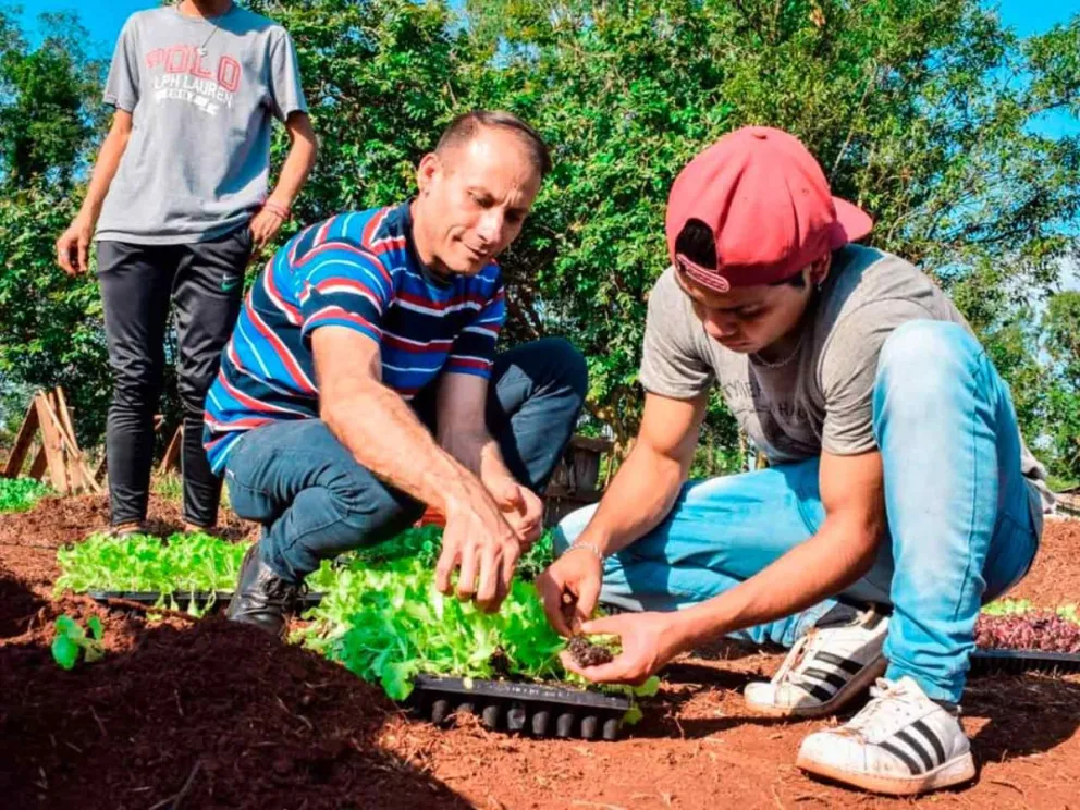 Educar para la soberanía alimentaria