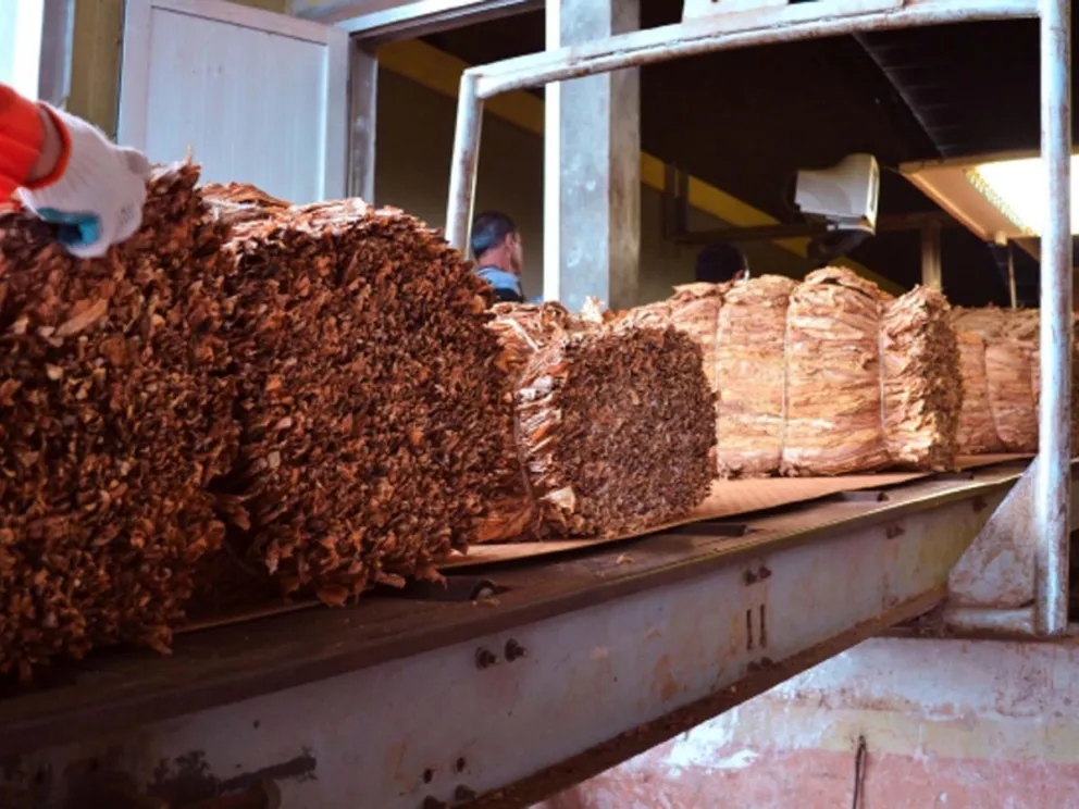 Los pagos alcanzarán a 11.276 colonos