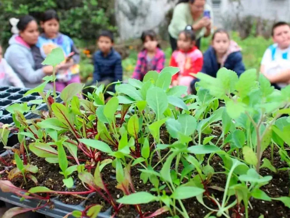 Para lograr hábitos saludables