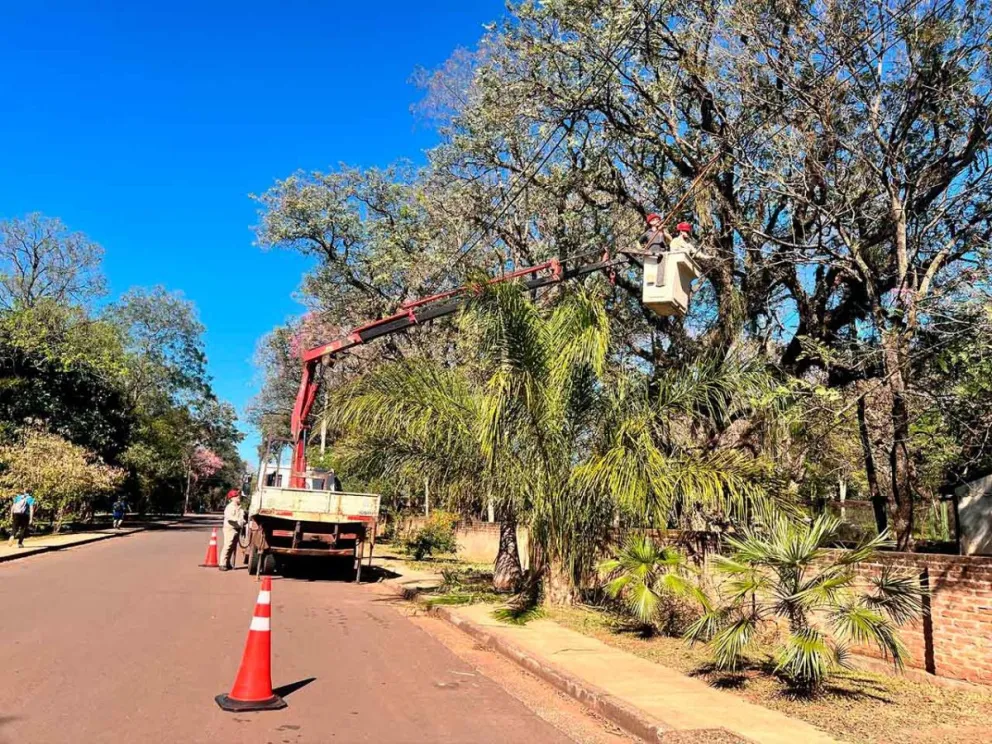 Trabajo de limpieza y despeje de líneas