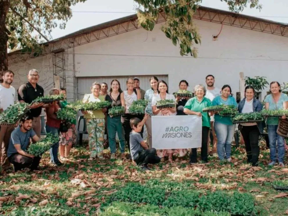Beneficio a pequeños productores