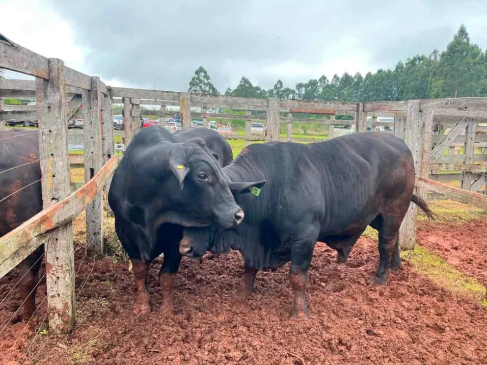 Destacaron el esfuerzo de los productores 