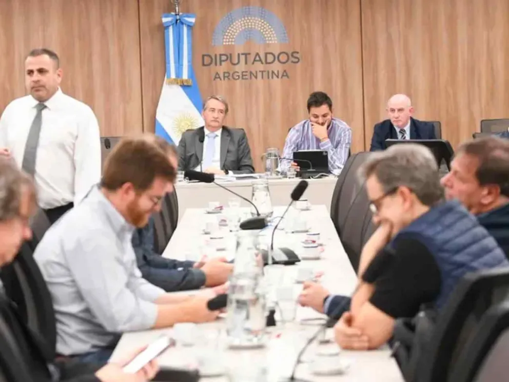 Plenario de comisiones de la Cámara Baja